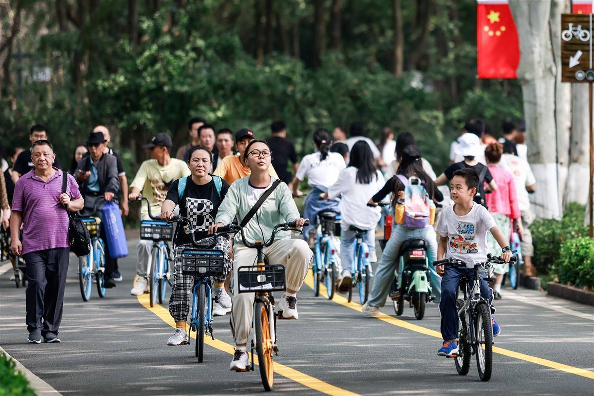 电子娱乐官网平台
